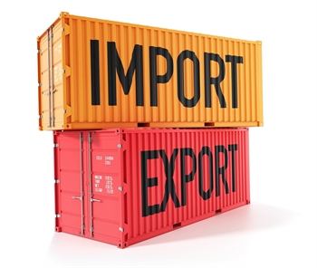 Top Skills Needed for a Successful Career in Import-Export